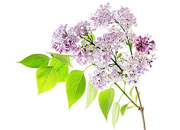 杭州亚运会电子竞技项目参赛运动员名单公布